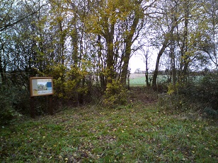 New interpretation board in Queen Mary's Wood