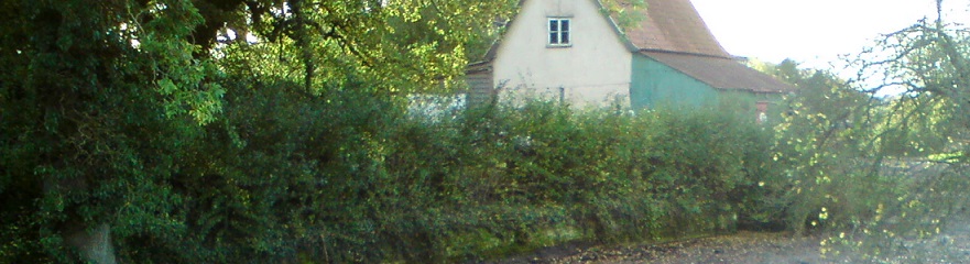 Hedge Laying in Home Farm yards