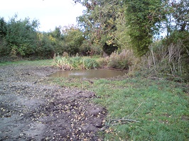 Little Meadow pond: Dredged