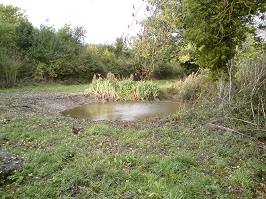 Little Meadow pond: Refilled